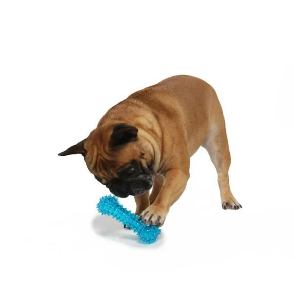 (3 pack) Vibrant Life Fetch Buddy Spiky Blue Bone Dog Toy, Chew Level 3 - Image 4