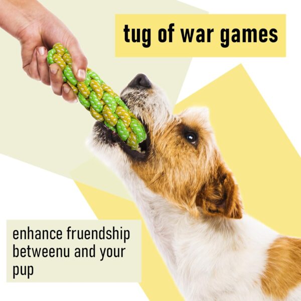 Stuffed Animal Squeaky Plush Chew Toys - 12 Pack, Interactive for Small/Medium Dogs, Bulk Rope Toys for Teething Puppies - Image 3