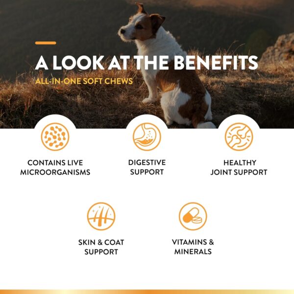 NaturVet All-in-One Dog Supplement - for Joint Support, Digestion, Skin, Coat Care – Dog Multivitamins with Minerals, Omega-3, 6, 9 – Wheat-Free Vitamins for Dogs – 120 Soft Chews - Image 4