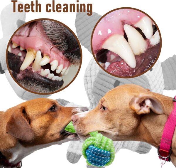 Stuffed Animal Squeaky Plush Chew Toys - 12 Pack, Interactive for Small/Medium Dogs, Bulk Rope Toys for Teething Puppies - Image 2