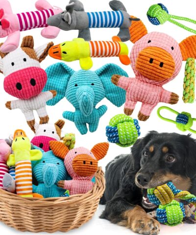 Stuffed Animal Squeaky Plush Chew Toys – 12 Pack, Interactive for Small/Medium Dogs, Bulk Rope Toys for Teething Puppies