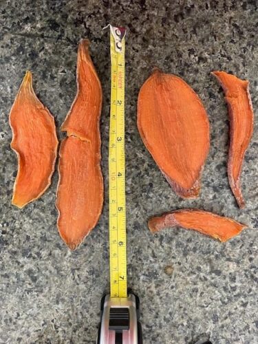 iPaw Sweet Potato Chews, Single Ingredient Dog Treats for Vegetarian photo review