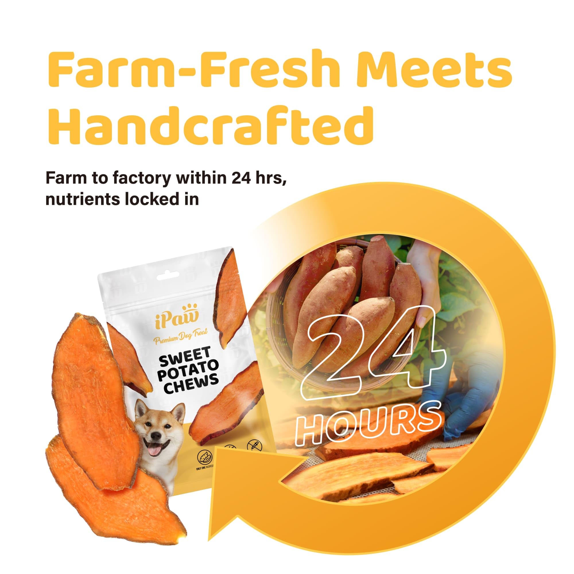 iPaw Sweet Potato Chews, Single Ingredient Dog Treats for Vegetarian - Image 2
